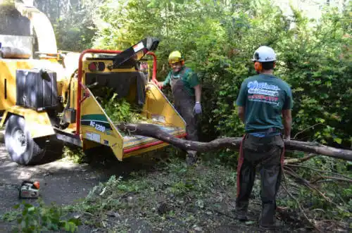 tree services Lombard